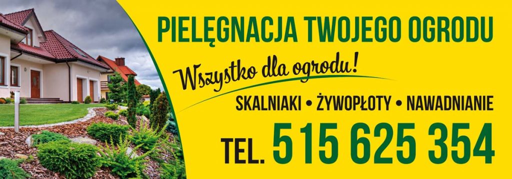 baner-reklama-roll-up-kartki-dla-firm-sępólno-kujawsko-pomorskie